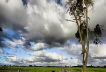 《天涯社区旅游奇遇记：当本地人带你漫游秘境》