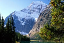 '天涯社区下载app'的那些小秘密，宝妈宝爸快来看看！