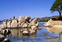 '天涯社区下载app'的那些小秘密，宝妈宝爸快来看看！